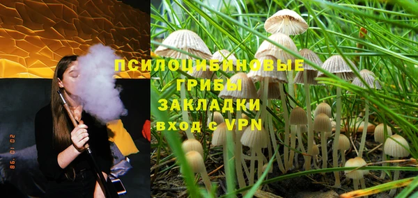 PSILOCYBIN Баксан