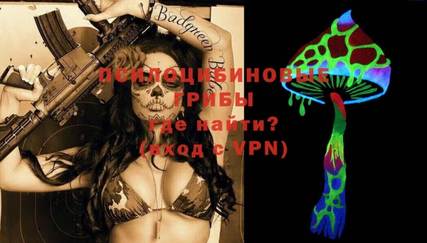 PSILOCYBIN Баксан