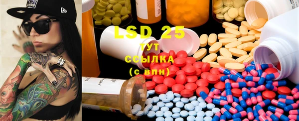 PSILOCYBIN Баксан