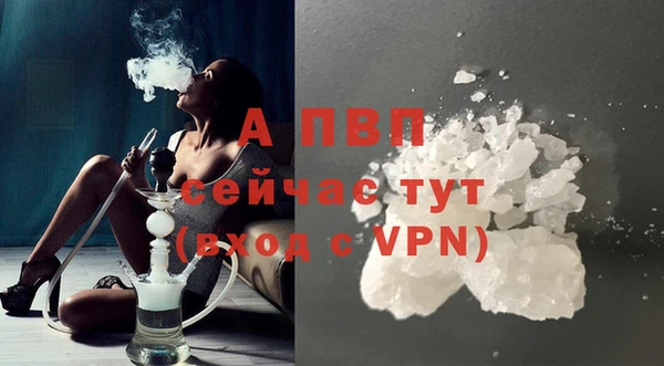 PSILOCYBIN Баксан