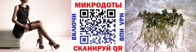 Псилоцибиновые грибы Cubensis  OMG онион  Вихоревка  продажа наркотиков 